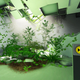 A pause button stands in front of a collapsed room, with plants and ivy growing in the corner.